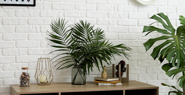 Embrace Nature: How to Create a Botanical Paradise in Your Living Room with NAVAO